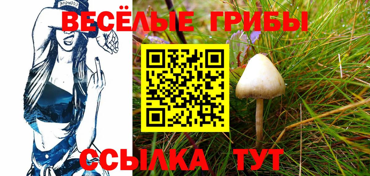Галлюциногенные грибы Magic Shrooms Керчь