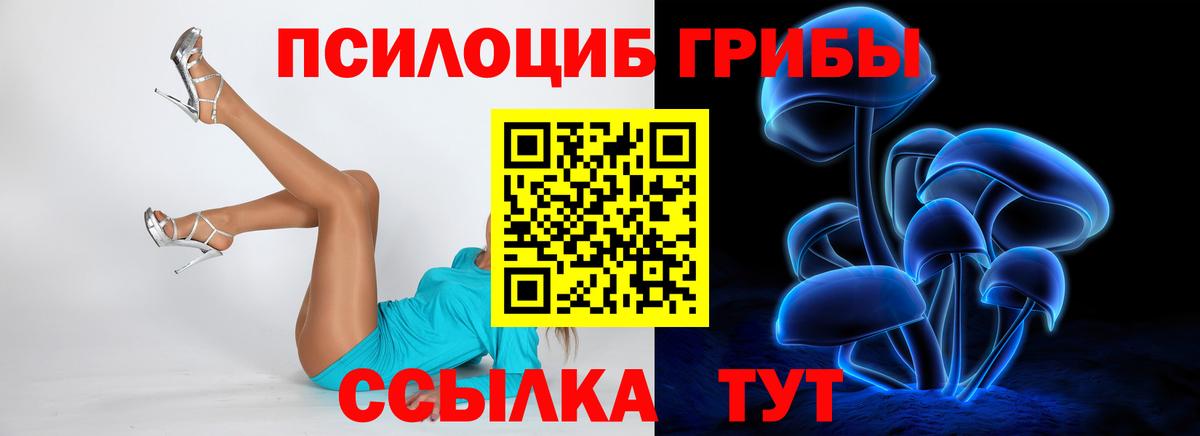 Керчь  Псилоцибиновые грибы GOLDEN TEACHER  Вход с VPN  Галлюциногенные грибы Psilocybine cubensis 